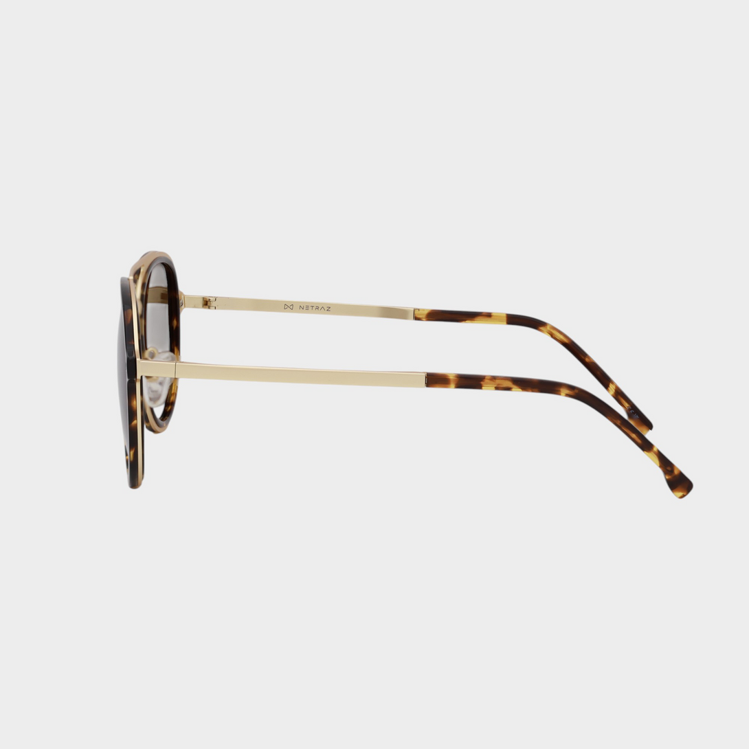 NETRAZ NZ1049 Aviator Brown Tortoiseshell Sunglasses With Pilot Gold And Tortoiseshell Frame And Brown Lens Side View