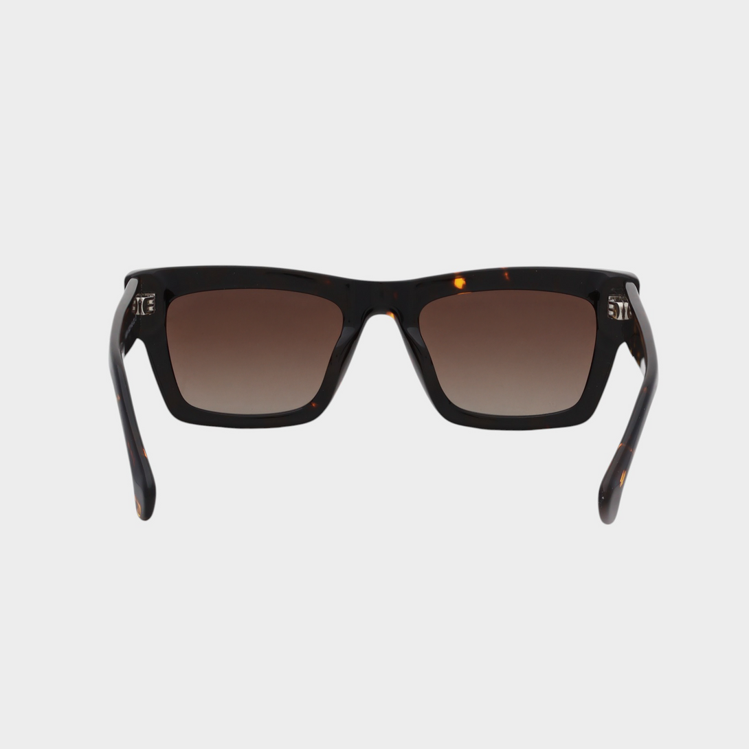 NETRAZ NZ3384 Italian Acetate Frame Square Sunglasses With Tortoiseshell Frame And Brown Lens Back View
