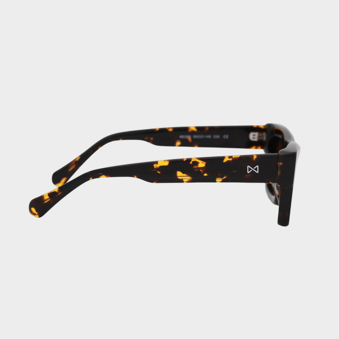 NETRAZ NZ3384 Italian Acetate Frame Square Sunglasses With Tortoiseshell Frame And Brown Lens Right View